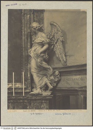 Vorderseite von unbekannt [https://www.deutsche-digitale-bibliothek.de/content/lizenzen/rv-fz/] HeimsuchungsaltarRahmenhaltender Engel rechts - , bh007548_recto. Foto: Moscioni, Romualdo.