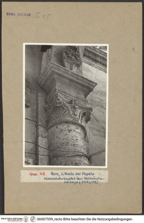 Vorderseite von unbekannt [https://www.deutsche-digitale-bibliothek.de/content/lizenzen/rv-fz/] Santa Maria del Popolo - Kelchvolutenkapitell über Halbsäulenvorlage (1472/78), bh007559_recto. Foto.
