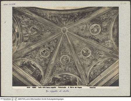 Vorderseite von Alinari [https://www.deutsche-digitale-bibliothek.de/content/lizenzen/rv-ez/] Kuppelfresken: Grotesken mit Wappen von Julius II. della Rovere, und fünf Propheten - Gesamtaufnahme, bh007595_recto. Foto.