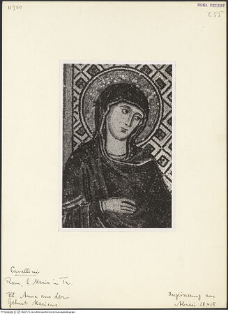 Vorderseite von bh007772_recto