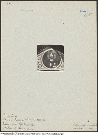 Vorderseite von bh008056_recto