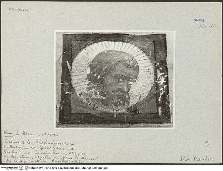 Vorderseite von unbekannt [https://www.deutsche-digitale-bibliothek.de/content/lizenzen/rv-fz/] Freskenfragmente eines bärtigen Apostels mit Nimbus - , bh008198_recto. Foto: Paeseler, Wilhelm.