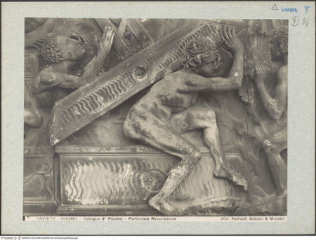 Vorderseite von bh009979_recto