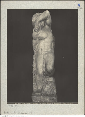 Vorderseite von bh009984_recto