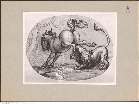 Vorderseite von bh010537_recto