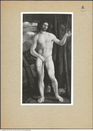 Vorderseite von Alinari [http://creativecommons.org/publicdomain/mark/1.0/] Madonna in der Glorie mit den heiligen Andreas und Petrus (Madonna della Quercia) - , bh012523_recto. Foto.