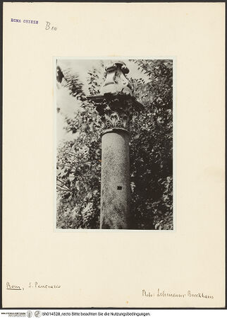 Vorderseite von bh014528_recto