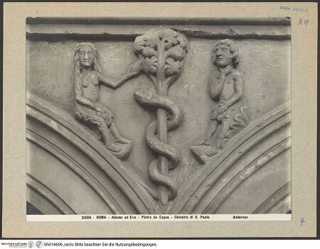 Vorderseite von bh014606_recto