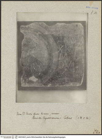 Vorderseite von bh014637_recto