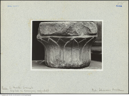 Vorderseite von Bibliotheca Hertziana [https://www.deutsche-digitale-bibliothek.de/content/lizenzen/rv-fz/] Kapitell mit Dekor aus Lanzettblättern - Gesamtansicht, bh014861_recto. Foto.