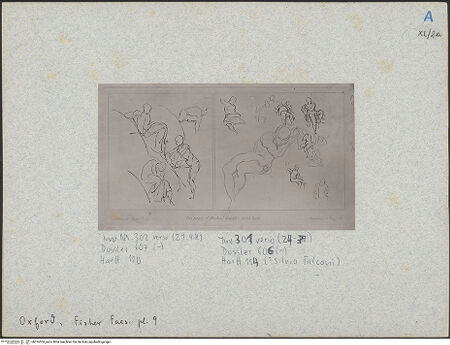 Vorderseite von bh016534_recto