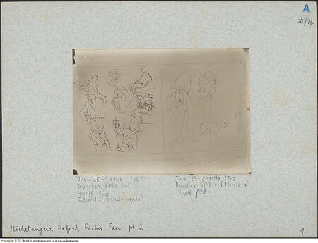 Vorderseite von bh016535_recto