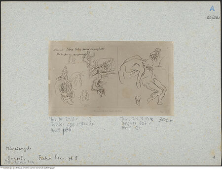 Vorderseite von bh016536_recto