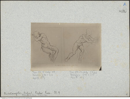 Vorderseite von bh016538_recto