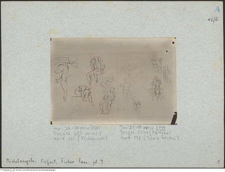 Vorderseite von bh016541_recto