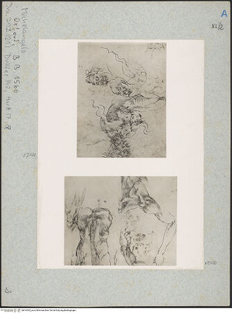 Vorderseite von bh016542_recto