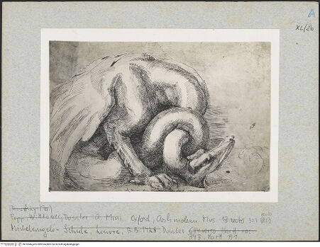 Vorderseite von bh016546_recto