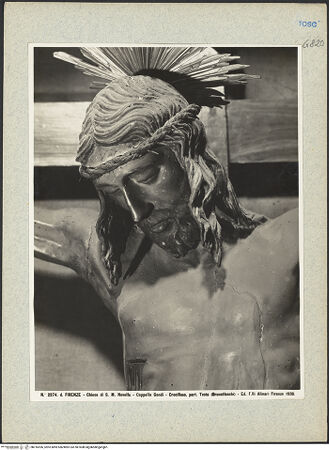 Vorderseite von bh016596_recto