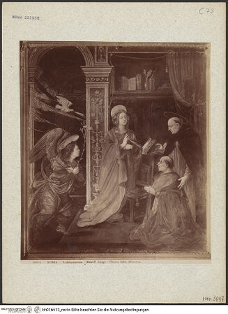 Vorderseite von bh016613_recto