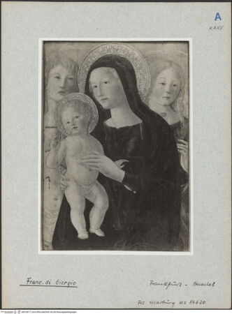 Vorderseite von bh016617_recto