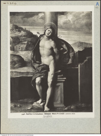 Vorderseite von bh017224_recto