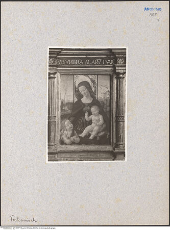 Vorderseite von bh017236_recto