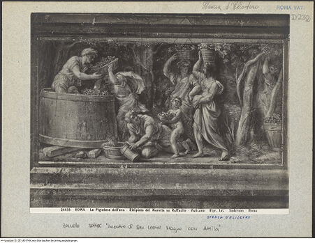 Vorderseite von bh017498_recto