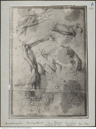 Vorderseite von bh017737_recto