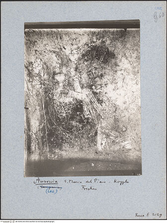 Vorderseite von bh018366_recto