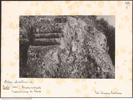 Vorderseite von bh018431_recto