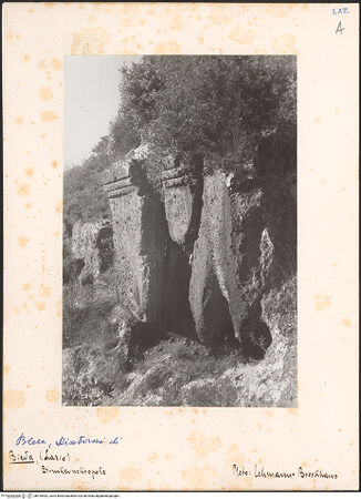 Vorderseite von bh018432_recto