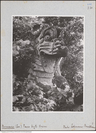 Vorderseite von bh018446_recto