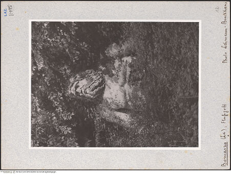 Vorderseite von bh018472_recto