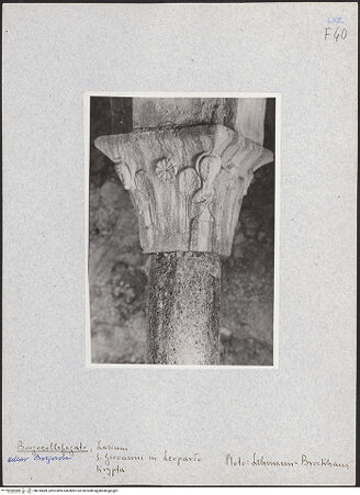 Vorderseite von bh018489_recto