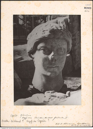 Vorderseite von Bibliotheca Hertziana [https://www.deutsche-digitale-bibliothek.de/content/lizenzen/rv-fz/] Kopf der Capua Fidelis - Seitenansicht, bh018946_recto. Foto: Lehmann-Brockhaus, Otto.