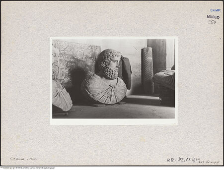 Vorderseite von Bibliotheca Hertziana [https://www.deutsche-digitale-bibliothek.de/content/lizenzen/rv-fz/] Büste des Pier delle Vigne (Petrus de Vinea) - Seitenansicht von links (in der Restaurierung um 1870), bh018950_recto. Foto: Kämpf, Hellmut.