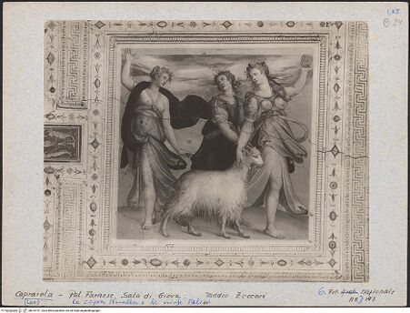 Vorderseite von bh019167_recto