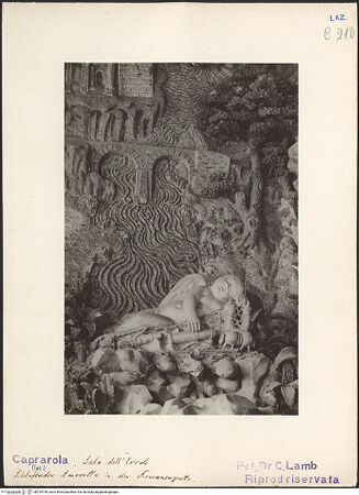 Vorderseite von bh019199_recto