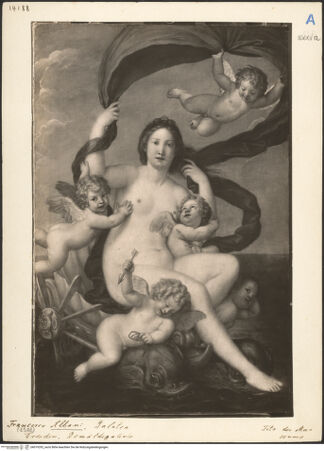 Vorderseite von bh019292_recto