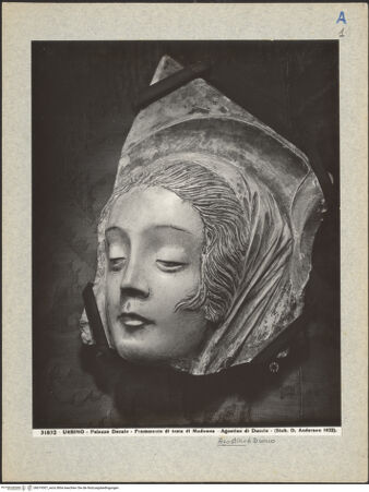 Vorderseite von bh019307_recto