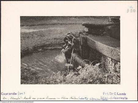 Vorderseite von bh019351_recto