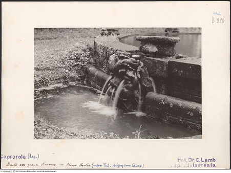 Vorderseite von bh019355_recto