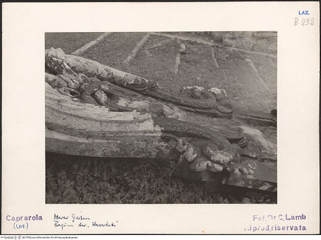 Vorderseite von bh019382_recto