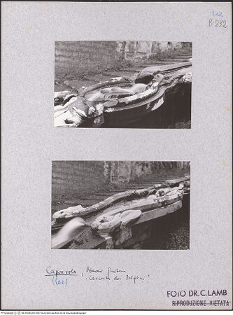 Vorderseite von bh019386_bh019387_recto