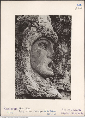 Vorderseite von bh019391_recto