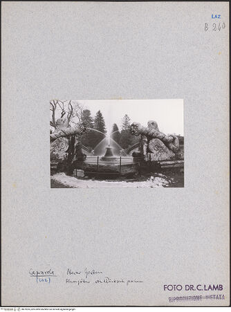 Vorderseite von bh019395_recto