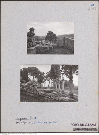 Vorderseite von bh019406_bh019407_recto