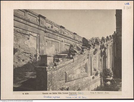 Vorderseite von bh019429_recto