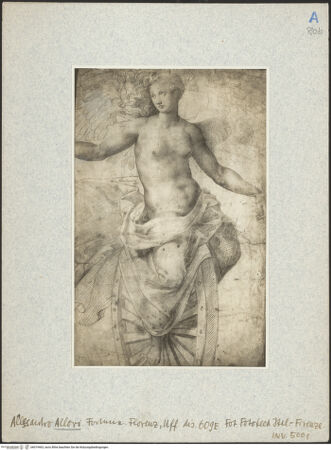 Vorderseite von bh019463_recto