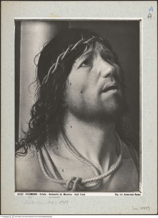 Vorderseite von bh019485_recto